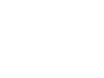 icon-iphone